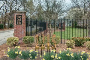 040616-village-green-img